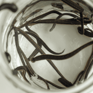 Buy Medicinal Leeches (Hirudo Verbana)